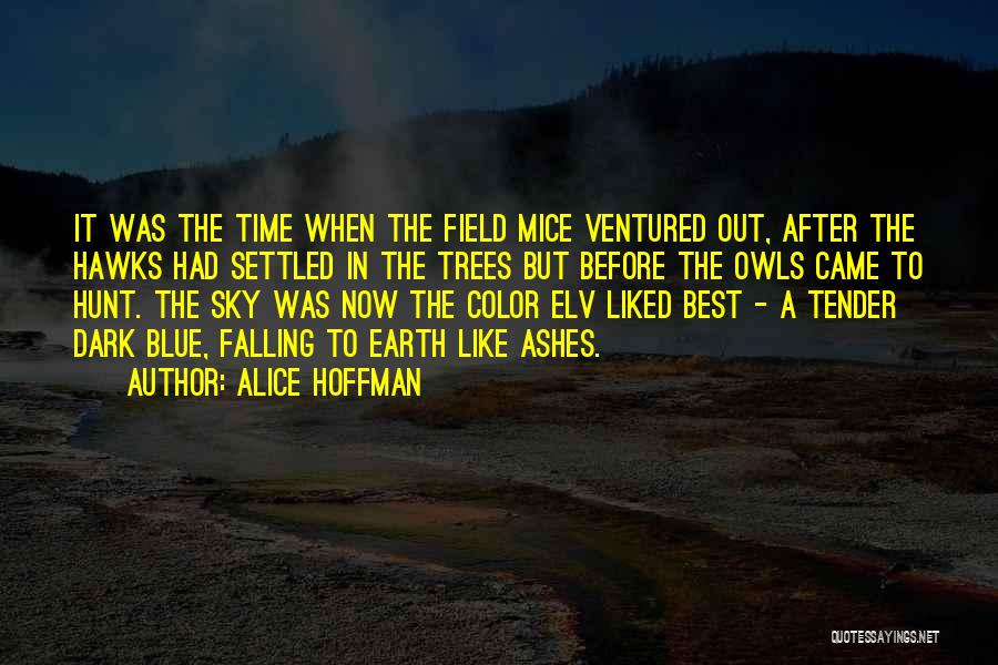 After The Earth Quotes By Alice Hoffman