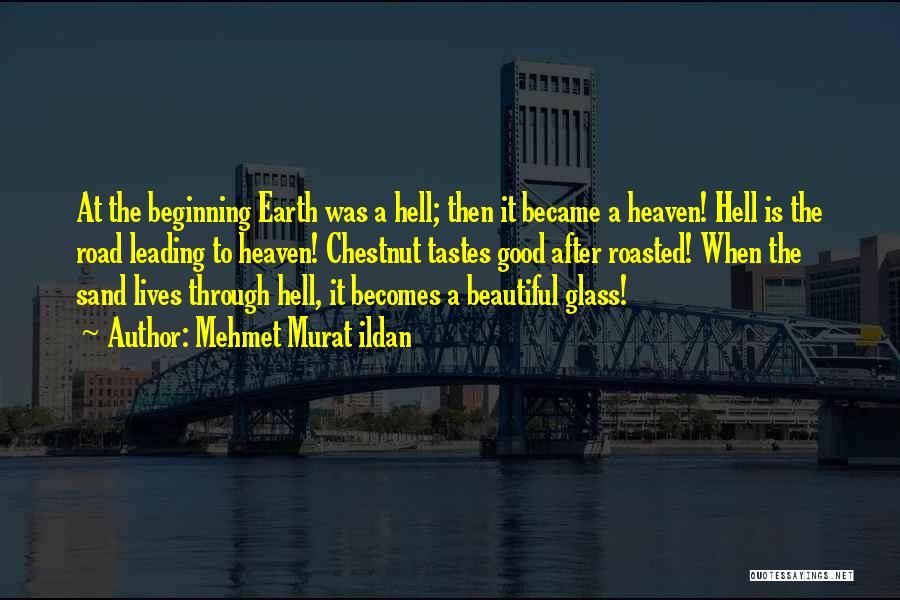 After The Earth Quotes By Mehmet Murat Ildan