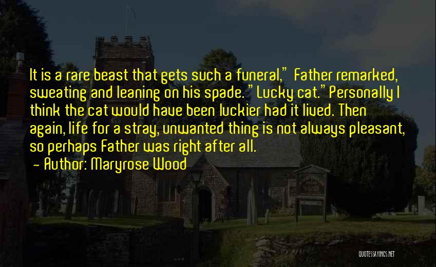 After The Funeral Quotes By Maryrose Wood