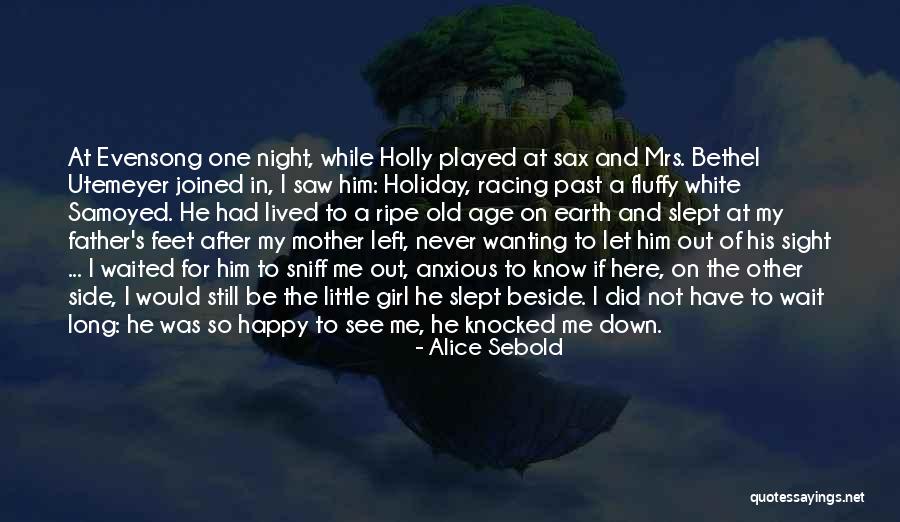 After The Holiday Quotes By Alice Sebold After The Holiday Quotes By Alice Sebold