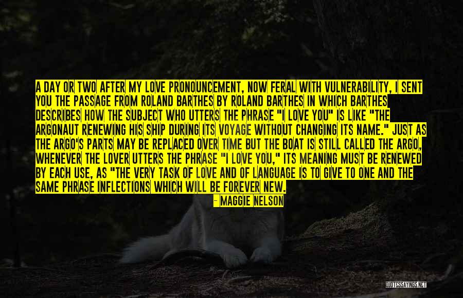 After The Passage Of Time Quotes By Maggie Nelson After The Passage Of Time Quotes By Maggie Nelson
