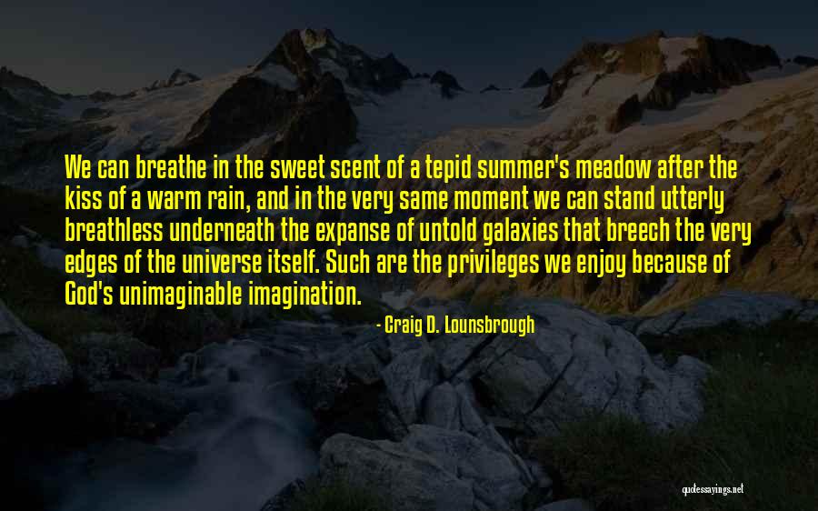 After The Rain Quotes By Craig D. Lounsbrough