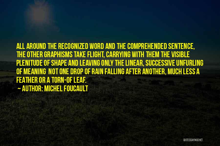 After The Rain Quotes By Michel Foucault