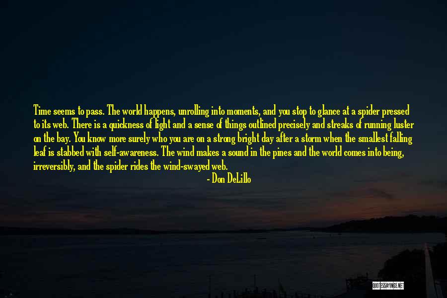 After The Storm Comes Quotes By Don DeLillo After The Storm Comes Quotes By Don DeLillo