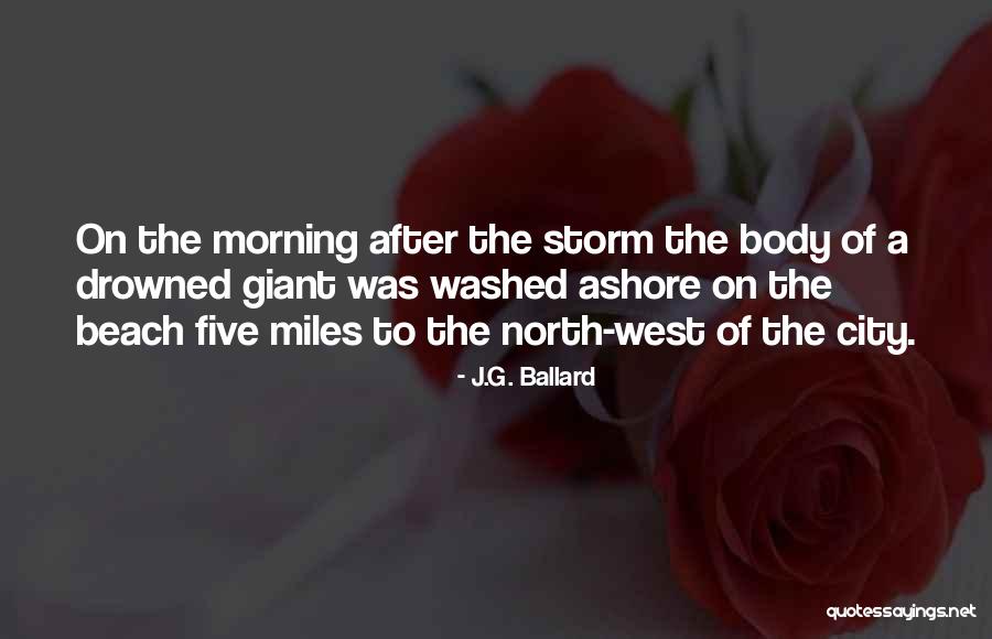 After The Storm Comes Quotes By J.G. Ballard