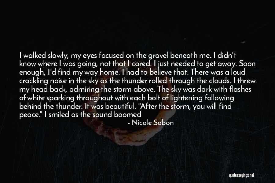 After The Storm Comes Quotes By Nicole Sobon