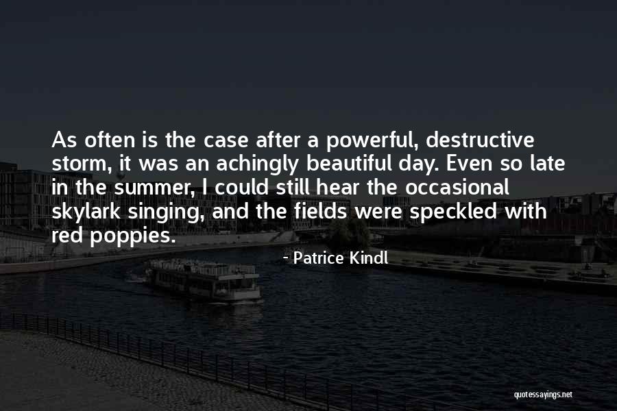 After The Storm Comes Quotes By Patrice Kindl