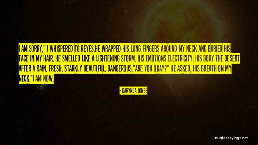 After The Storm Quotes By Darynda Jones After The Storm Quotes By Darynda Jones