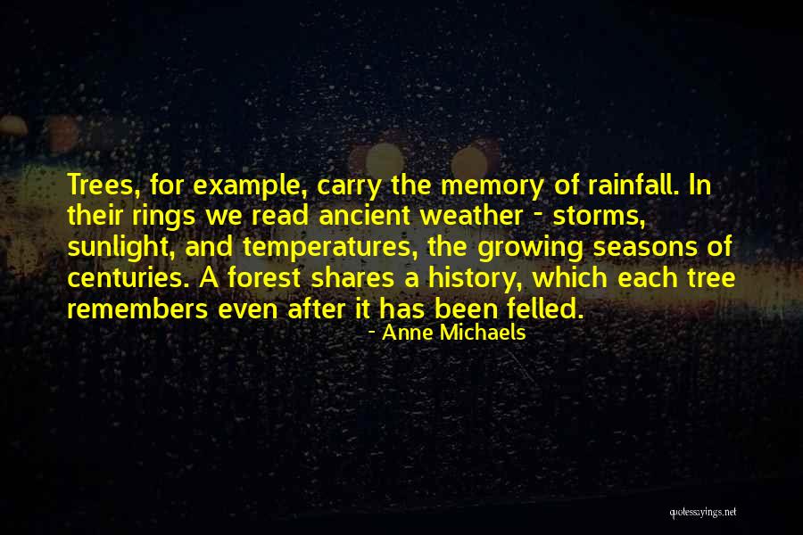 After The Storms Quotes By Anne Michaels After The Storms Quotes By Anne Michaels