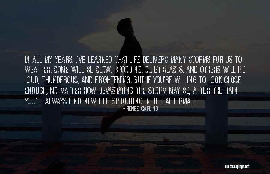 After The Storms Quotes By Renee Carlino After The Storms Quotes By Renee Carlino