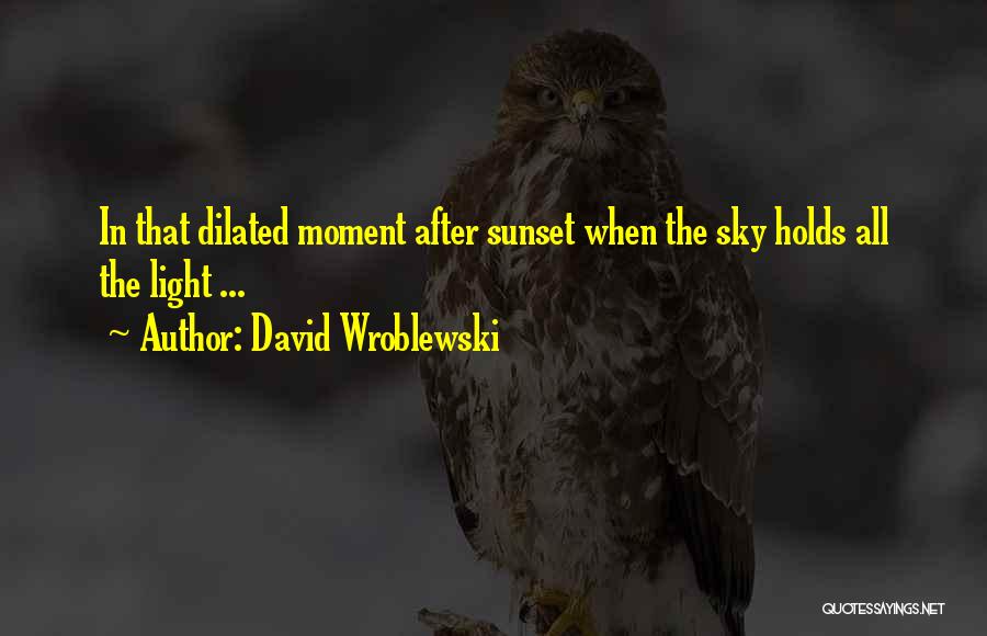 After The Sunset Quotes By David Wroblewski