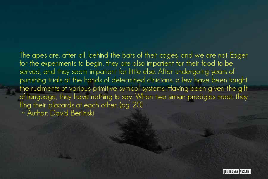 After The Trials Quotes By David Berlinski