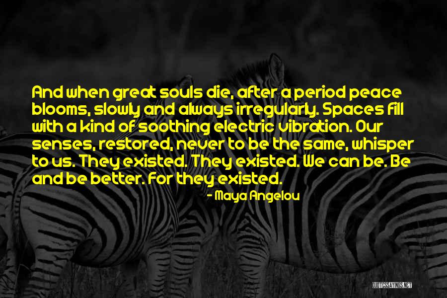 After We Die Quotes By Maya Angelou After We Die Quotes By Maya Angelou