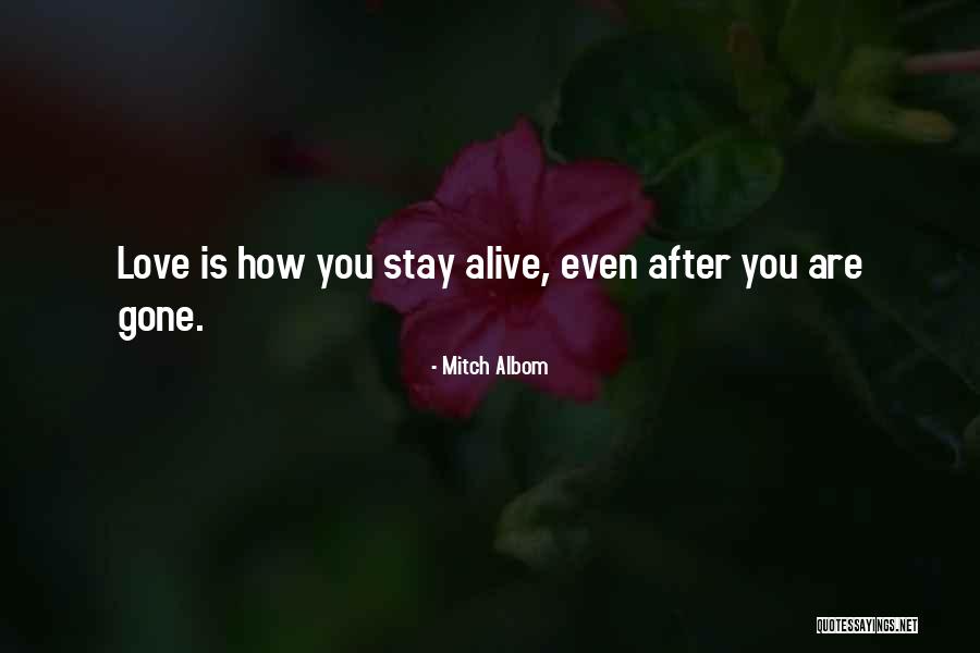 After You'd Gone Quotes By Mitch Albom