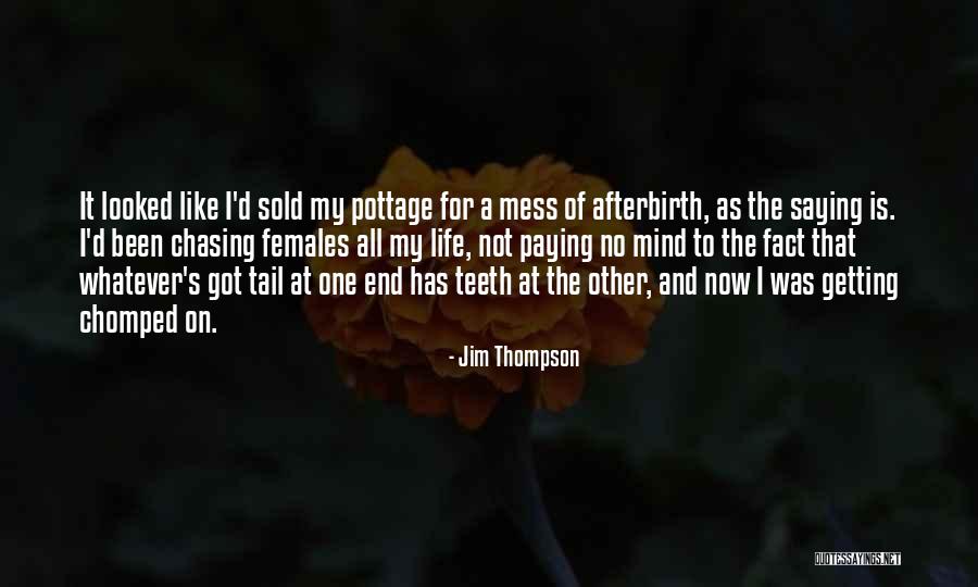 Afterbirth Quotes By Jim Thompson