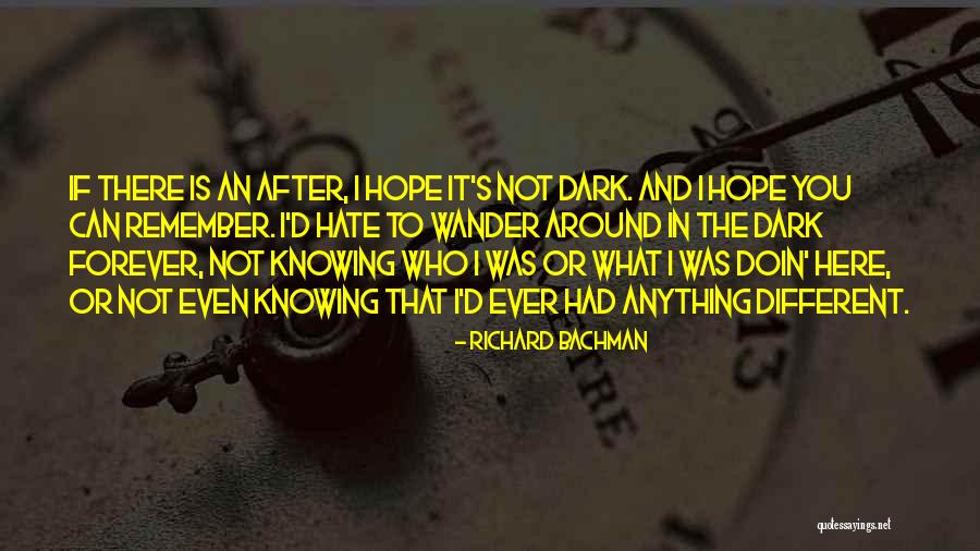 Afterlife Quotes By Richard Bachman Afterlife Quotes By Richard Bachman