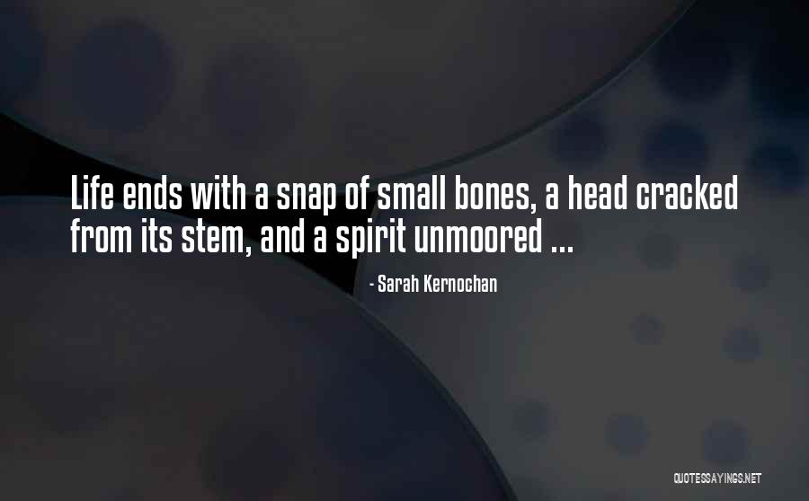Afterlife Quotes By Sarah Kernochan Afterlife Quotes By Sarah Kernochan
