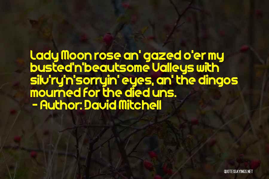 Aftermath Quotes By David Mitchell