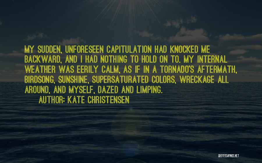 Aftermath Quotes By Kate Christensen