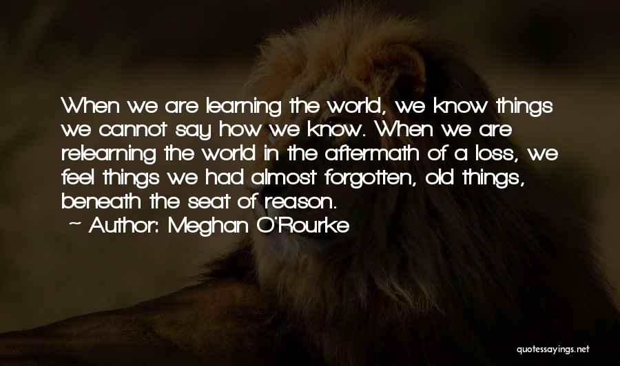 Aftermath Quotes By Meghan O'Rourke