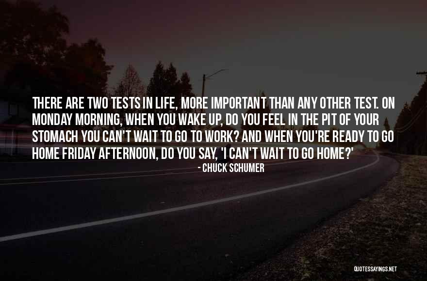 Afternoon Friday Quotes By Chuck Schumer Afternoon Friday Quotes By Chuck Schumer