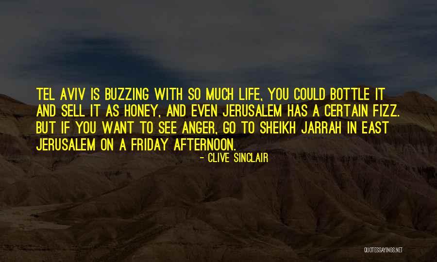 Afternoon Friday Quotes By Clive Sinclair Afternoon Friday Quotes By Clive Sinclair
