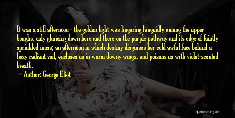 Afternoon Light Quotes By George Eliot