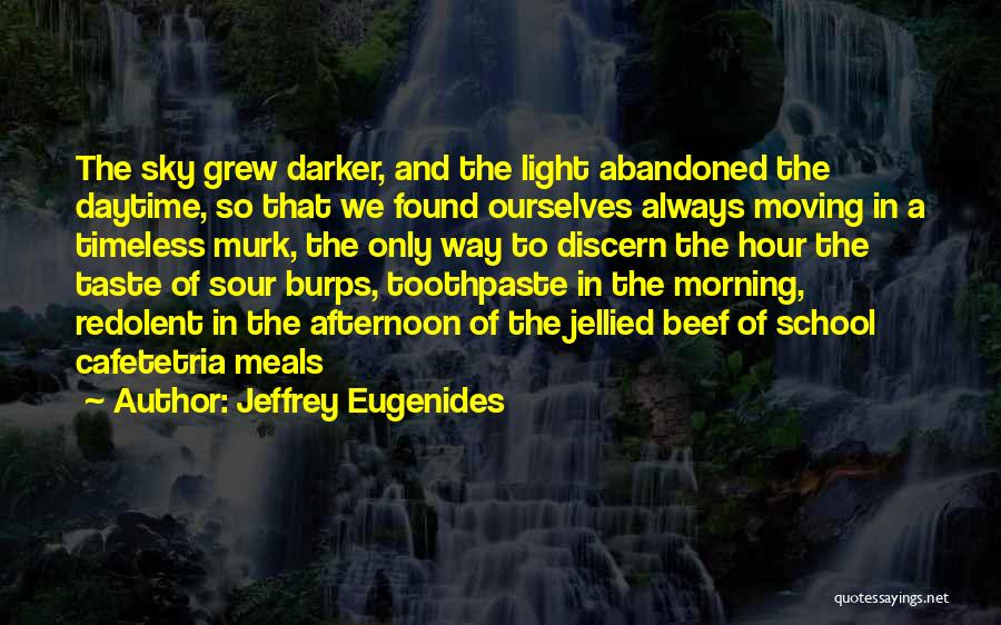 Afternoon Light Quotes By Jeffrey Eugenides