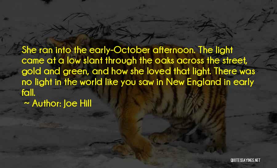 Afternoon Light Quotes By Joe Hill