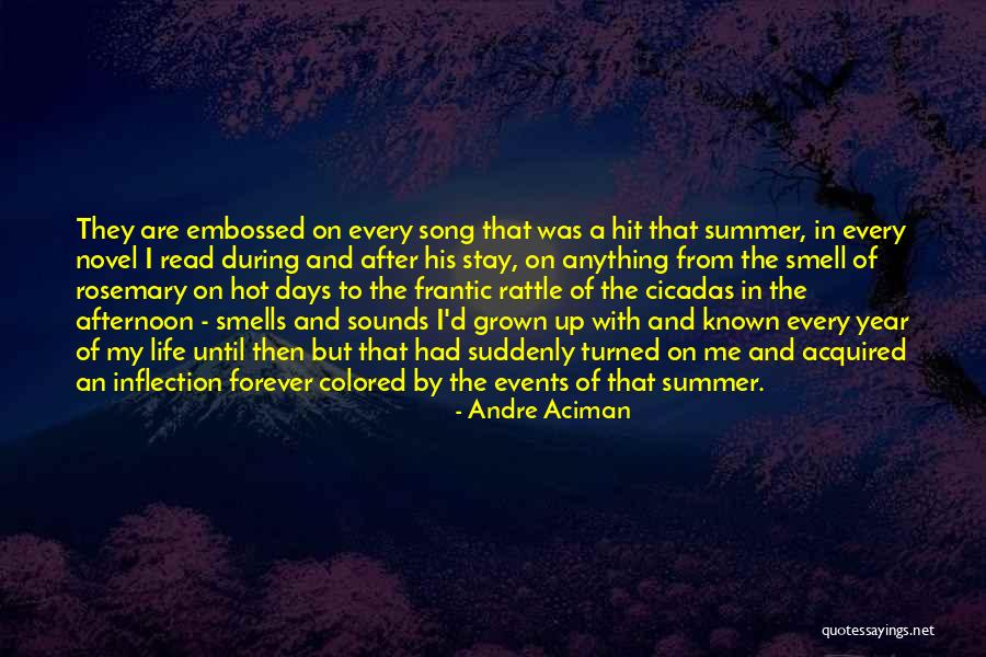 Afternoon Love Quotes By Andre Aciman