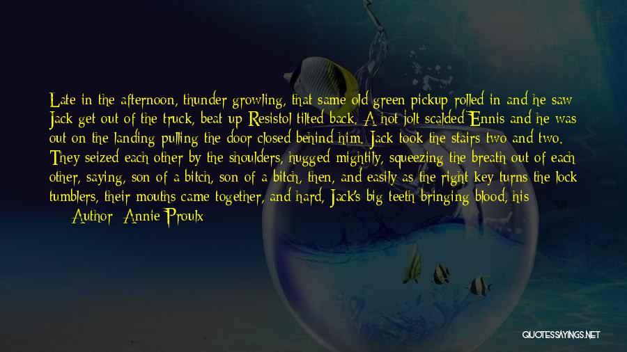 Afternoon Love Quotes By Annie Proulx