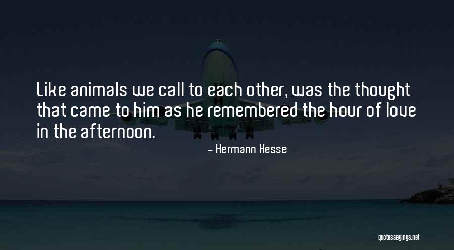 Afternoon Love Quotes By Hermann Hesse