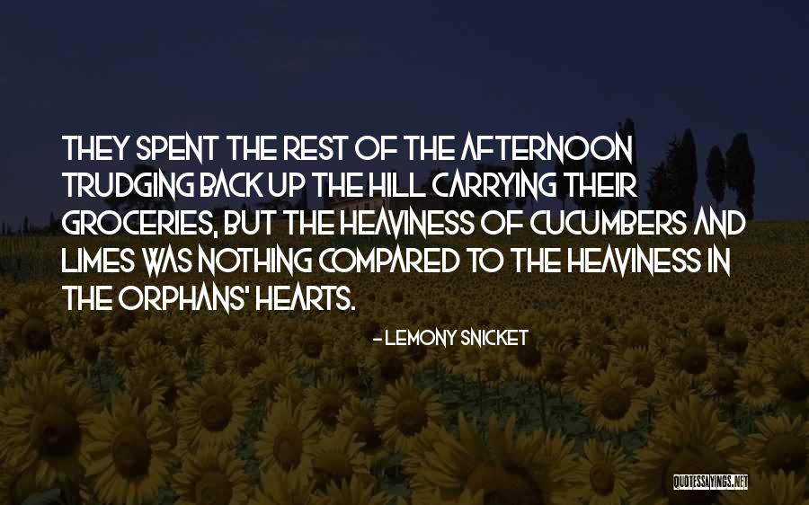 Afternoon On A Hill Quotes By Lemony Snicket Afternoon On A Hill Quotes By Lemony Snicket