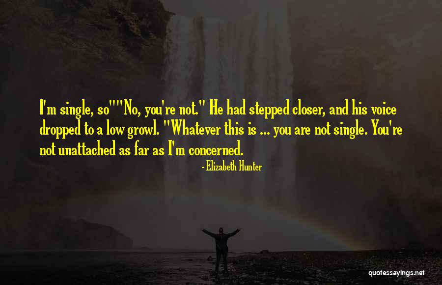 Afterstorm Quotes By Elizabeth Hunter Afterstorm Quotes By Elizabeth Hunter
