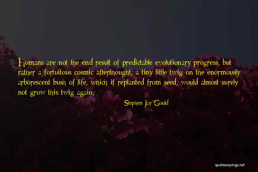 Afterthought Quotes By Stephen Jay Gould Afterthought Quotes By Stephen Jay Gould