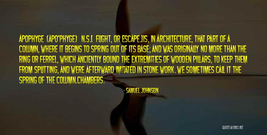 Afterward Quotes By Samuel Johnson