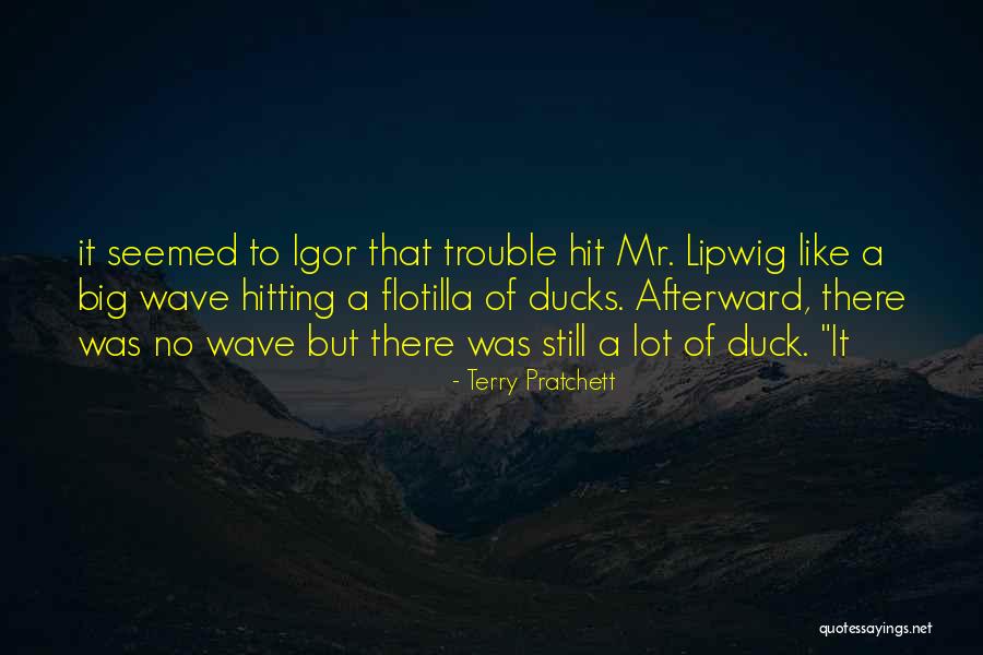 Afterward Quotes By Terry Pratchett