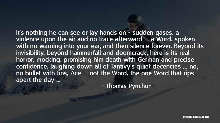 Afterward Quotes By Thomas Pynchon