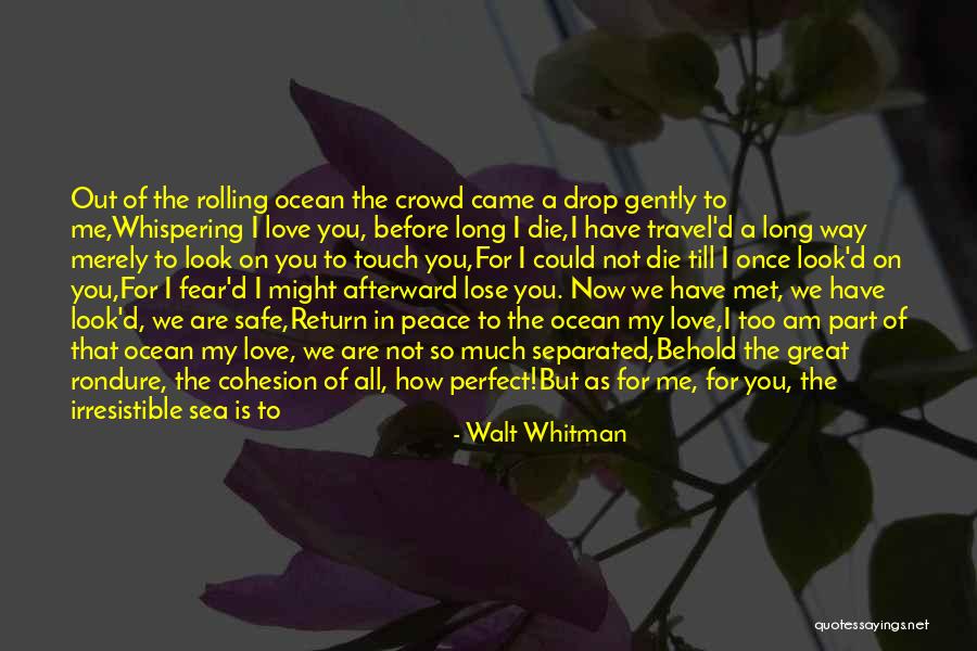 Afterward Quotes By Walt Whitman