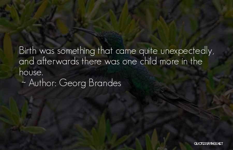 Afterwards Quotes By Georg Brandes