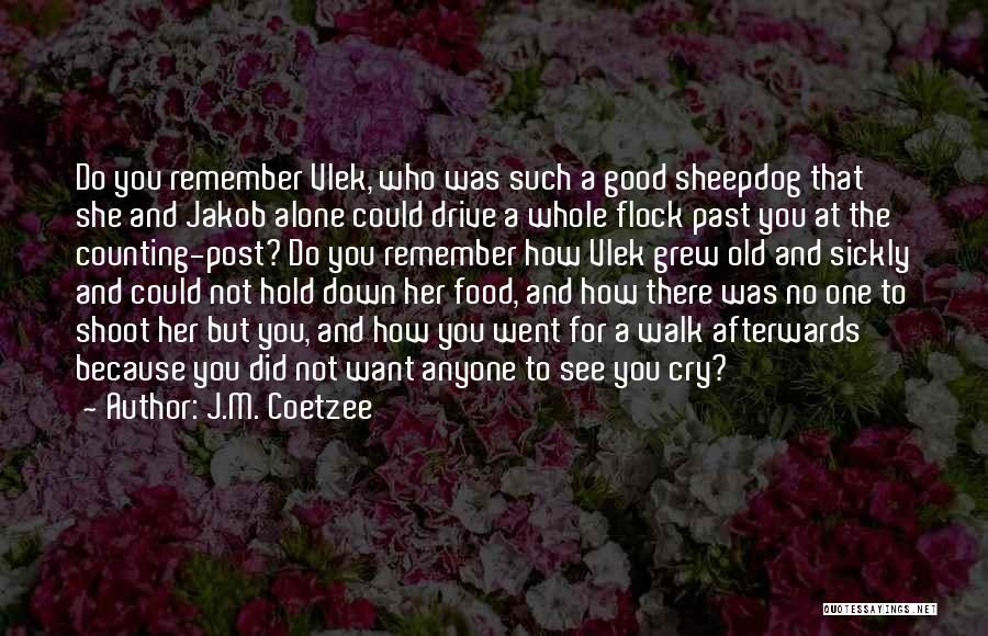 Afterwards Quotes By J.M. Coetzee