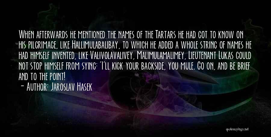 Afterwards Quotes By Jaroslav Hasek