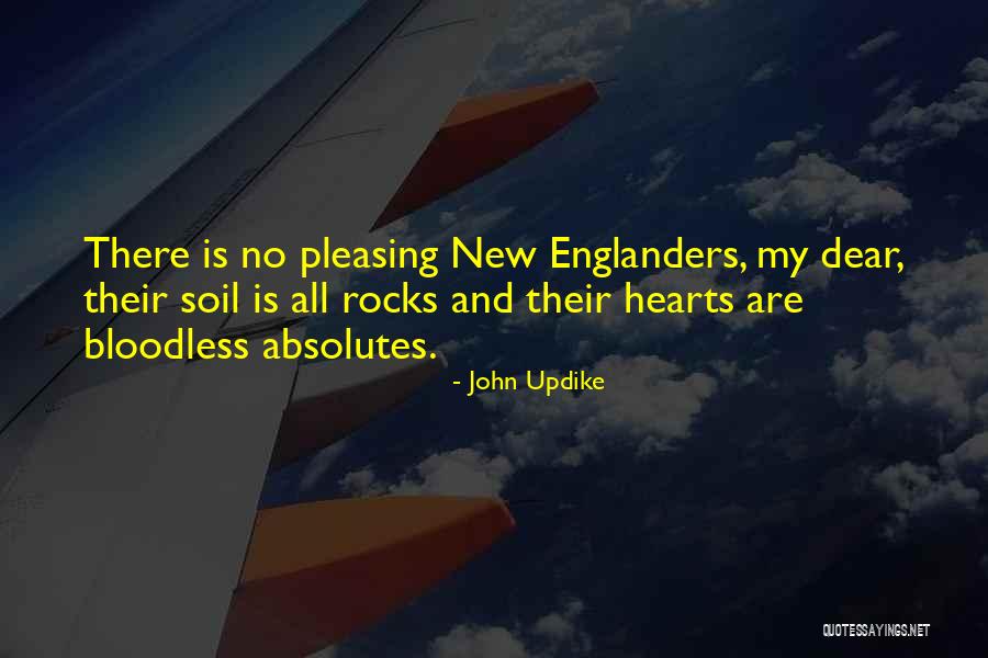 Afzaal Malik Quotes By John Updike Afzaal Malik Quotes By John Updike