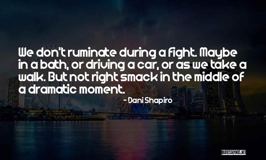 Afzonderlijke Synoniem Quotes By Dani Shapiro Afzonderlijke Synoniem Quotes By Dani Shapiro