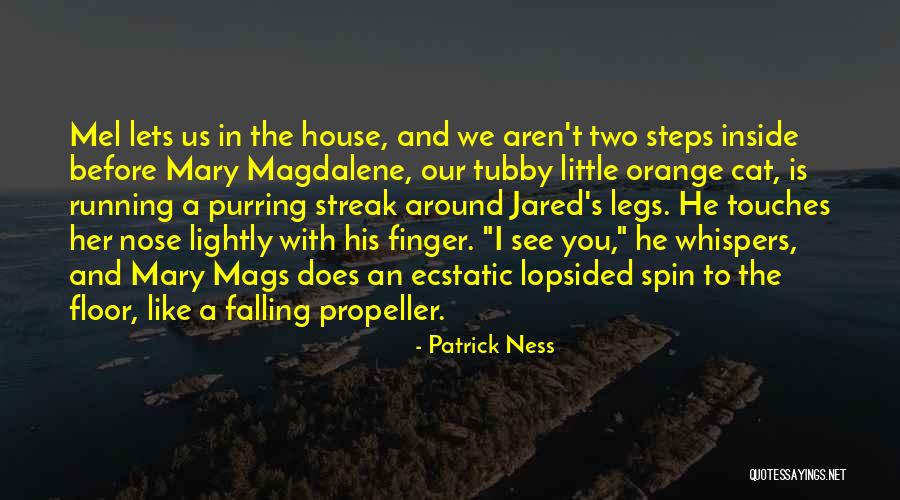 Agachar Sinonimo Quotes By Patrick Ness Agachar Sinonimo Quotes By Patrick Ness
