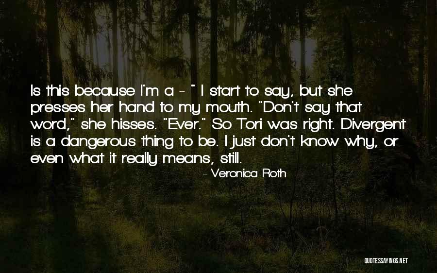 Againingproject Quotes By Veronica Roth Againingproject Quotes By Veronica Roth
