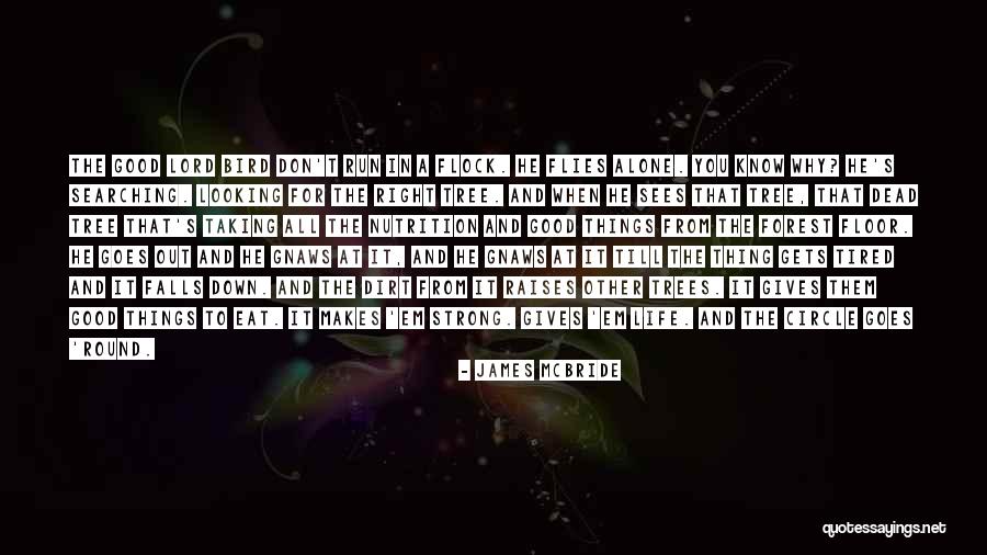 Against All Grain Quotes By James McBride Against All Grain Quotes By James McBride