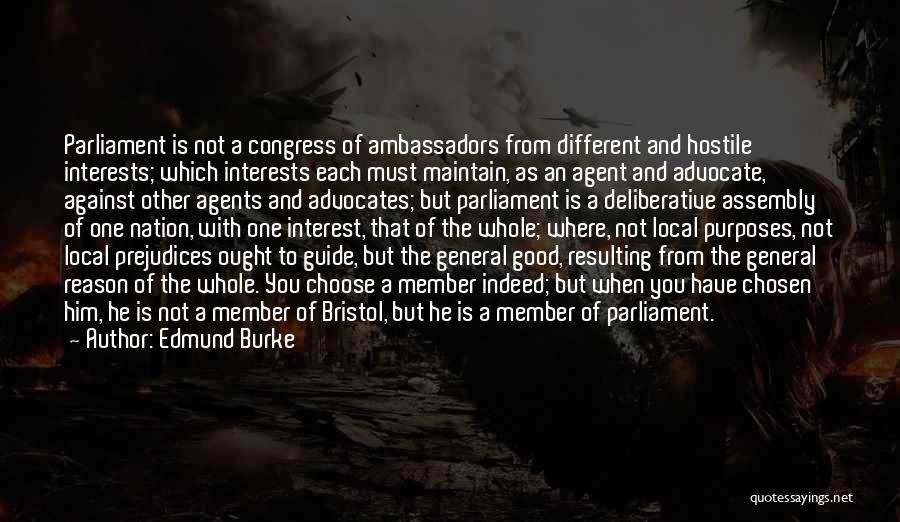 Against Congress Quotes By Edmund Burke