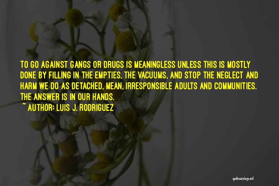 Against Drugs Quotes By Luis J. Rodriguez