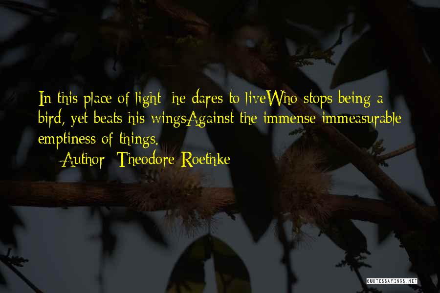 Against The Light Quotes By Theodore Roethke